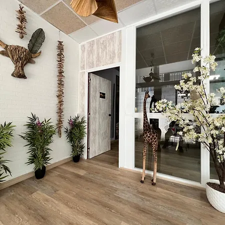 Apartment Golden Loft *